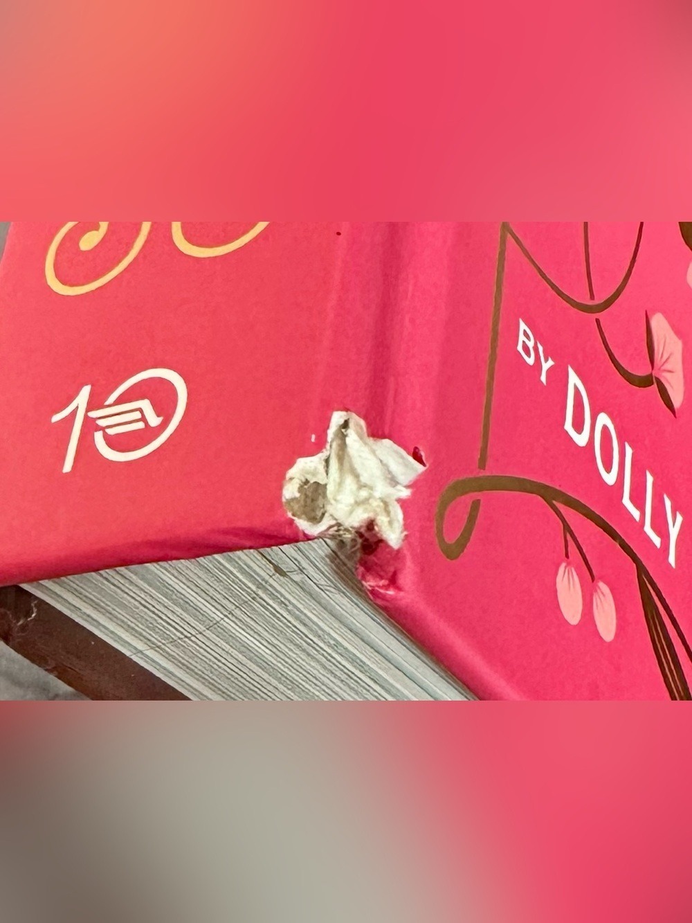 Dolly Parton: Behind the Seams: My Life in Rhinestones — Coffee Table Book - Picture 14 of 16